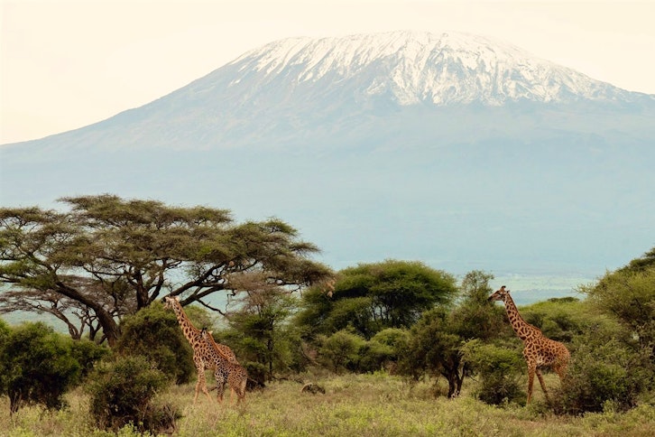 Kenya & Zanzibar Eco-Safari
