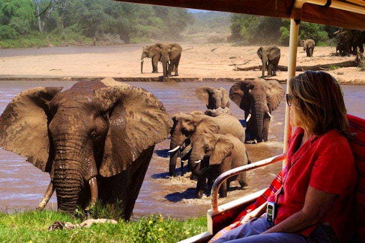 Elephnat Watch Camp elephant river crossing