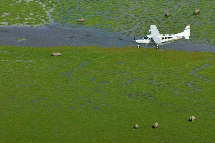 Kenya Ultimate Fly-in Safari