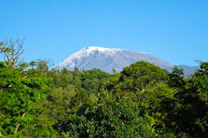 Kilimanjaro Group Climb - Lemosho Route image 1