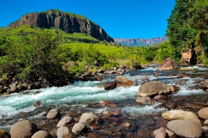 KwaZulu Natal Meander - Culture, Wildlife & Beach - Self Drive image 1