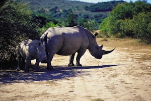 KwaZulu-Natal Action-Packed Family Holiday