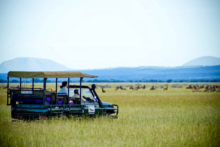 Game drive, Grumeti Serengeti Tented Camp
