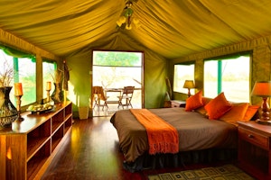 Magical Zimbabwe Safari image 1