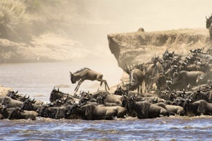 Masai Mara Safari & Zanzibar Beach Adventure image 1
