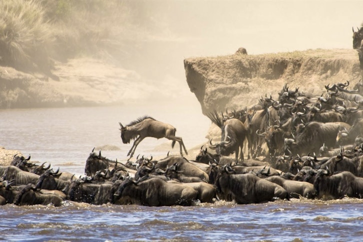 Bwindi Air Strip - Entebbe Airport - Zanzibar