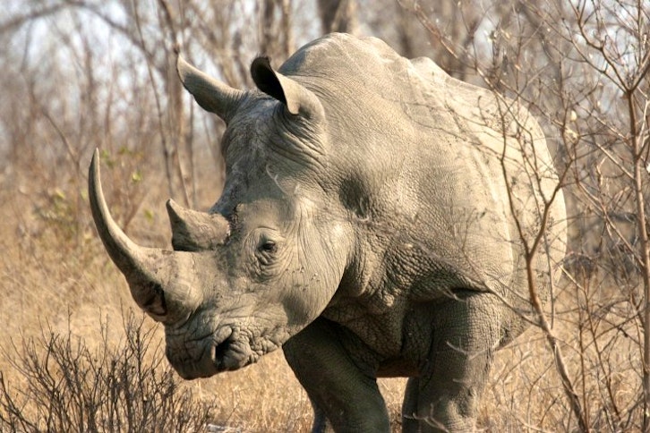 Sabi Sands Private Game Reserve