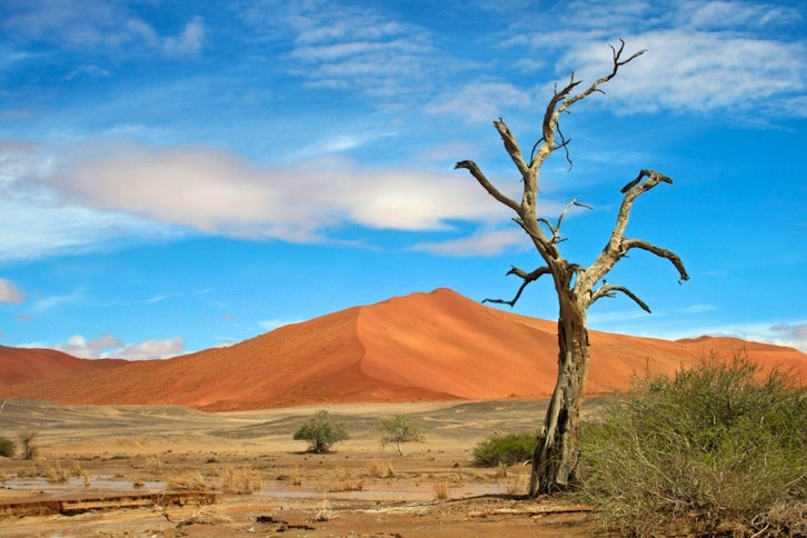 Hoanib Skeleton Coast Camp