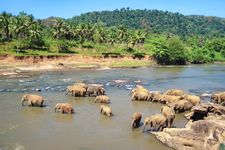 Off the Beaten Track Sri Lanka: Wildlife and Beach Tour