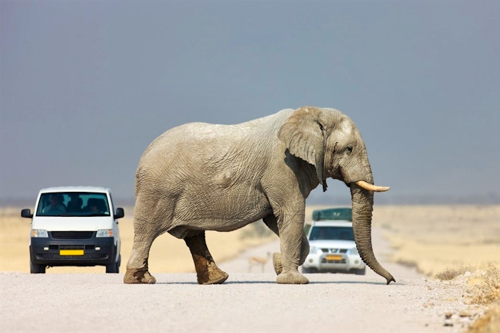 Open Road Self-Drive Namibia safari