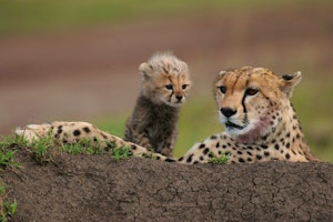 Romantic Kenya & Mauritius