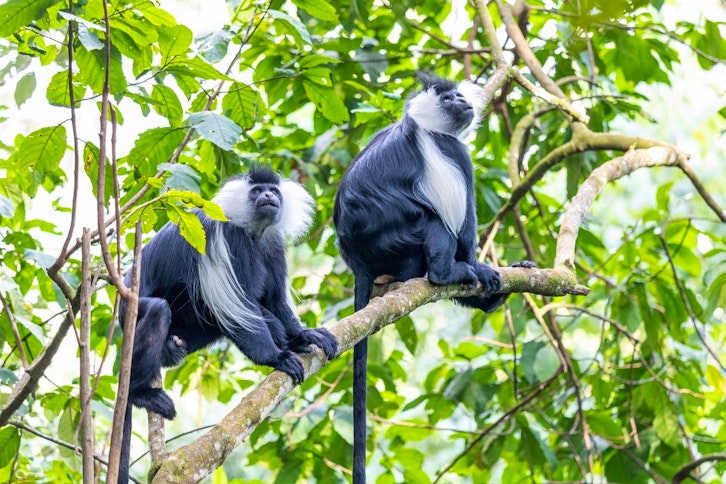 The Land of a Thousand Hills  has beautiful scenery