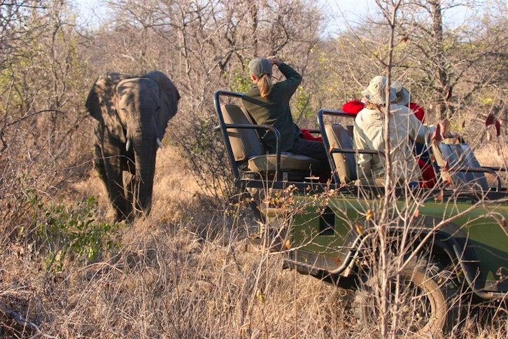 South Africa Safari & Mauritius Classic