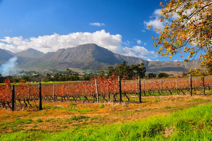 Winelands Region
