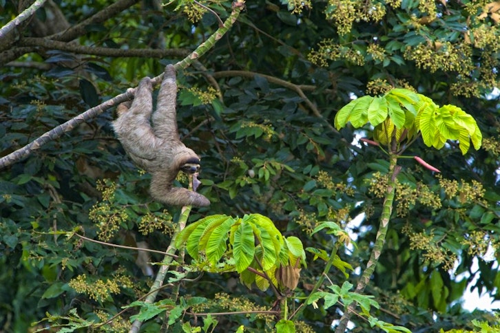 Sustainable Costa Rica