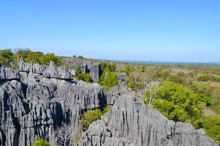 Tsingy, Baobabs, Wildlife and Whales