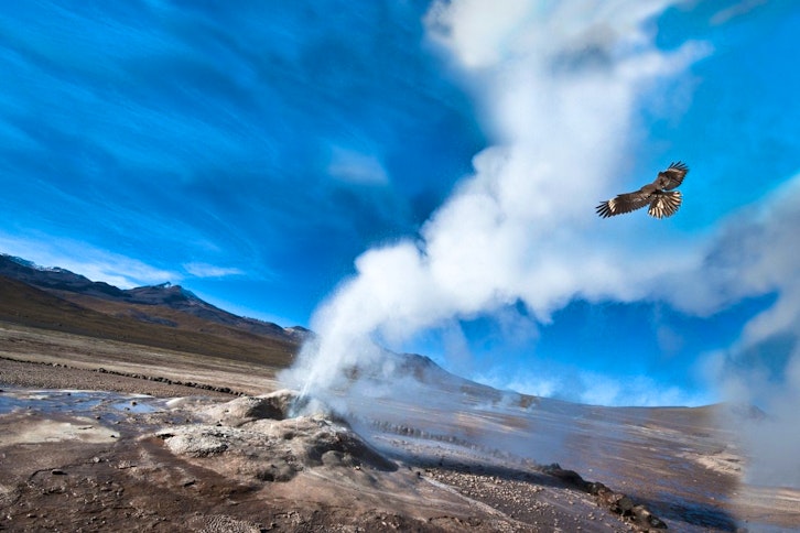 Ultimate Stargazing Adventure