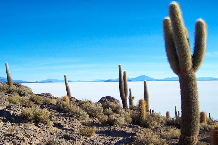 Isla Pescado, Salar de Uyuni