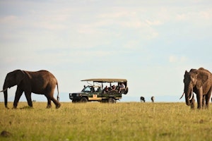 Visions of Kenya Safari image 1