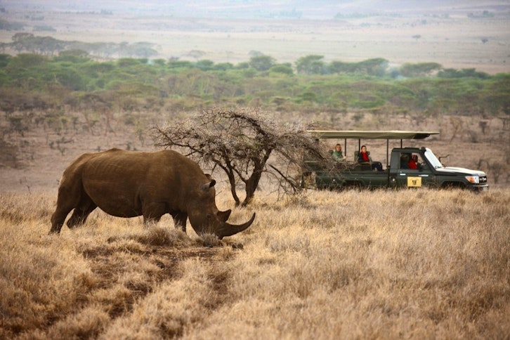 Rhino spotting at Lewa
