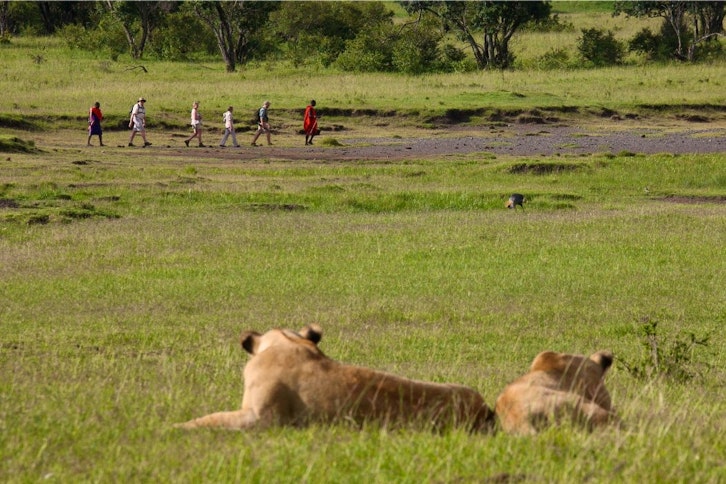 Three people being observed by lions during a guided bush walk