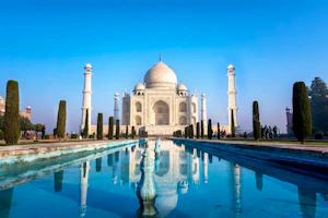 Wildlife Adventure in India’s Golden Triangle image 1