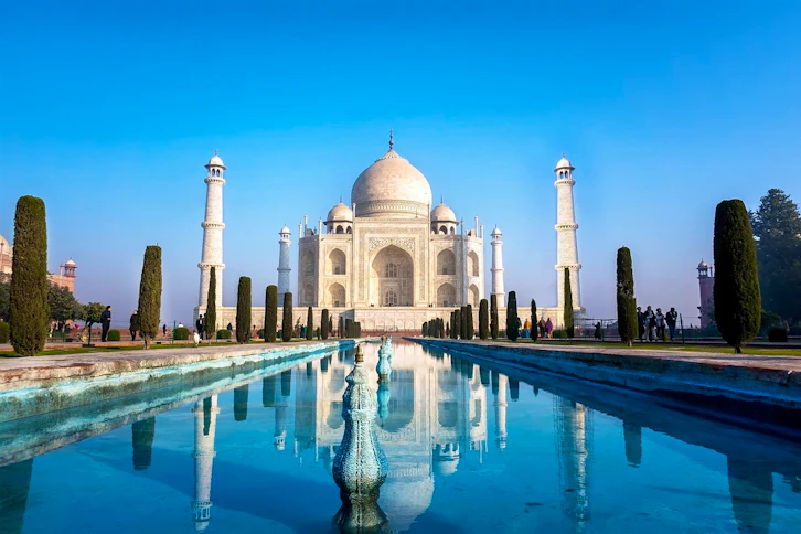 Wildlife Adventure in India’s Golden Triangle