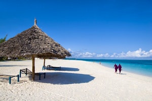 Zanzibar Island Highlights image 1