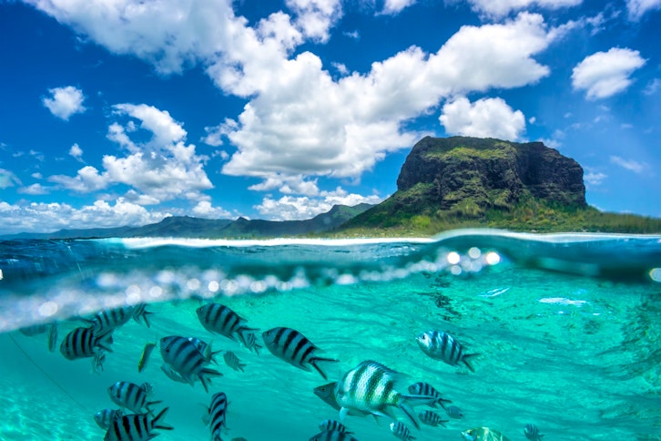 | Johannesburg to Mauritius