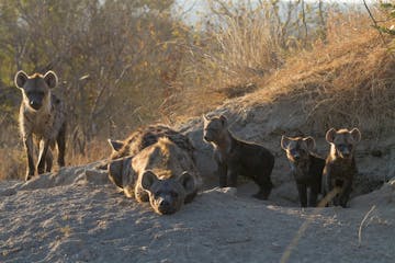 | Johannesburg to Garonga Safari Camp