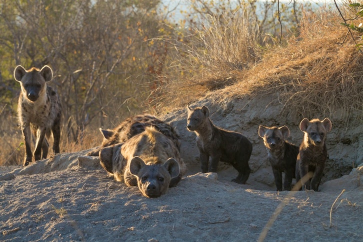 | Johannesburg to Garonga Safari Camp