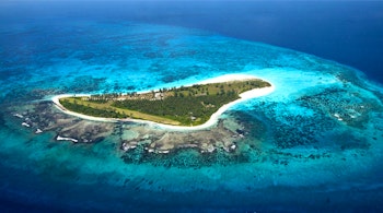 Bird Island Lodge image 1