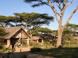 Ndutu Lodge image 1