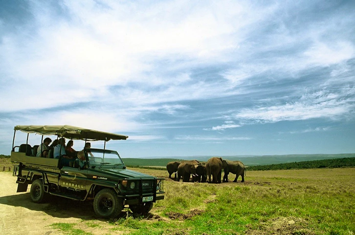 Game drive, Woodall Country House, Eastern Cape, South Africa