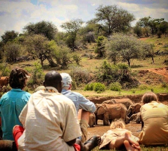 Elephant Viewing, Laikipia Wilderness Main Camp, Laikipia, Kenya