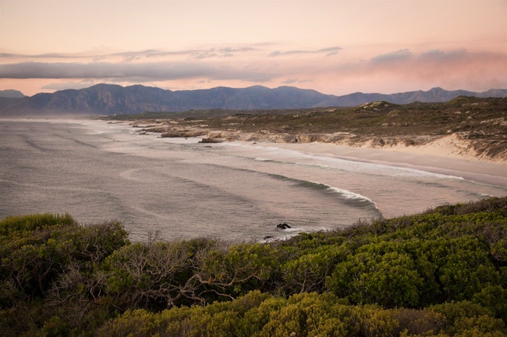 Coastal Safari Experience at Grootbos Nature Reserve, Western Cape, South Africa