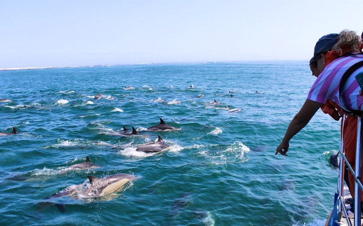 Eco Boat Tour Experience at Grootbos Nature Reserve, Western Cape, South Africa