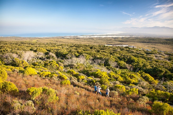 Hike at Grootbos Nature Reserve, Western Cape, South Africa