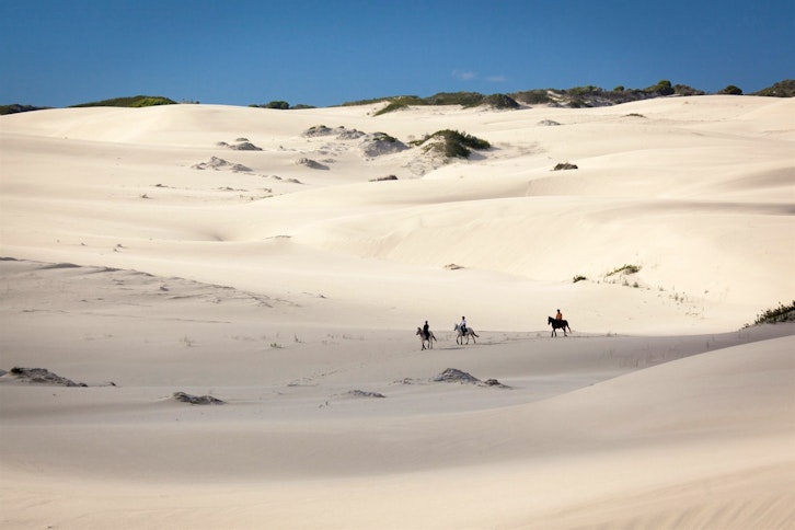 Horse Riding at Grootbos Nature Reserve, Western Cape, South Africa
