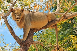 Highlights of Tanzania Small Group Tour